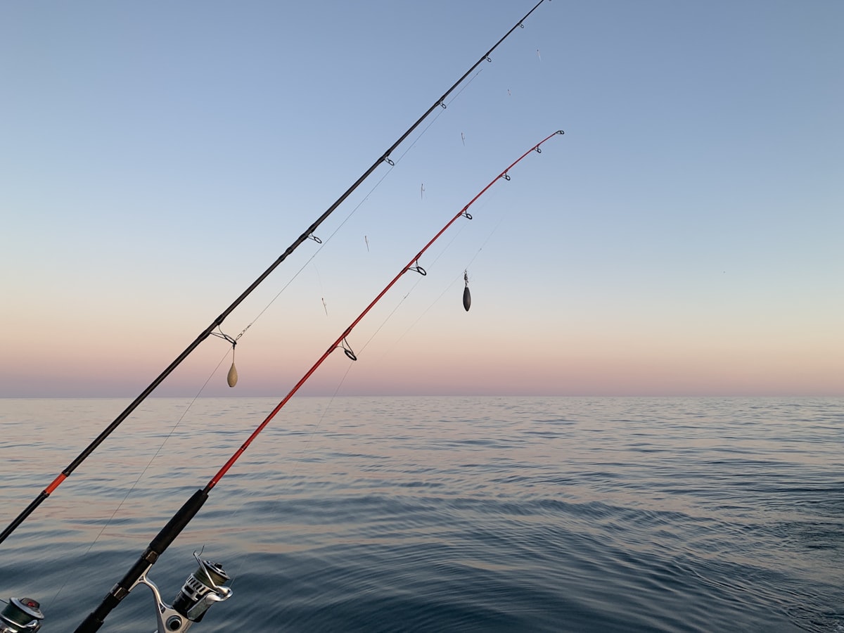 Fishing rod bent against the blue ocean during a fight
